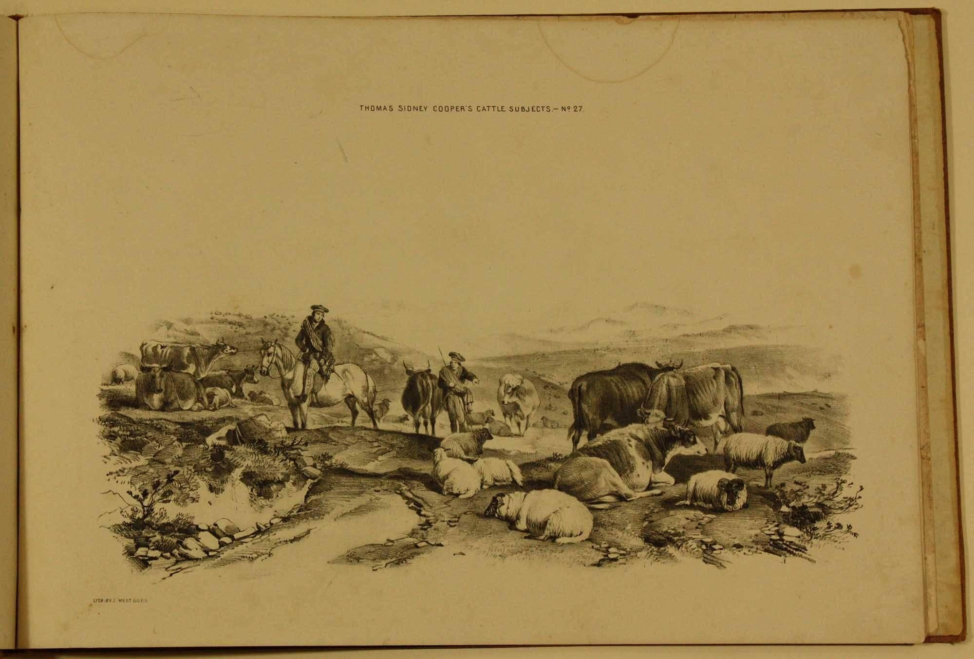 COOPER, Thomas Sidney  Groups of Cattle, Drawn from Nature Book 1839 London For Sale 4