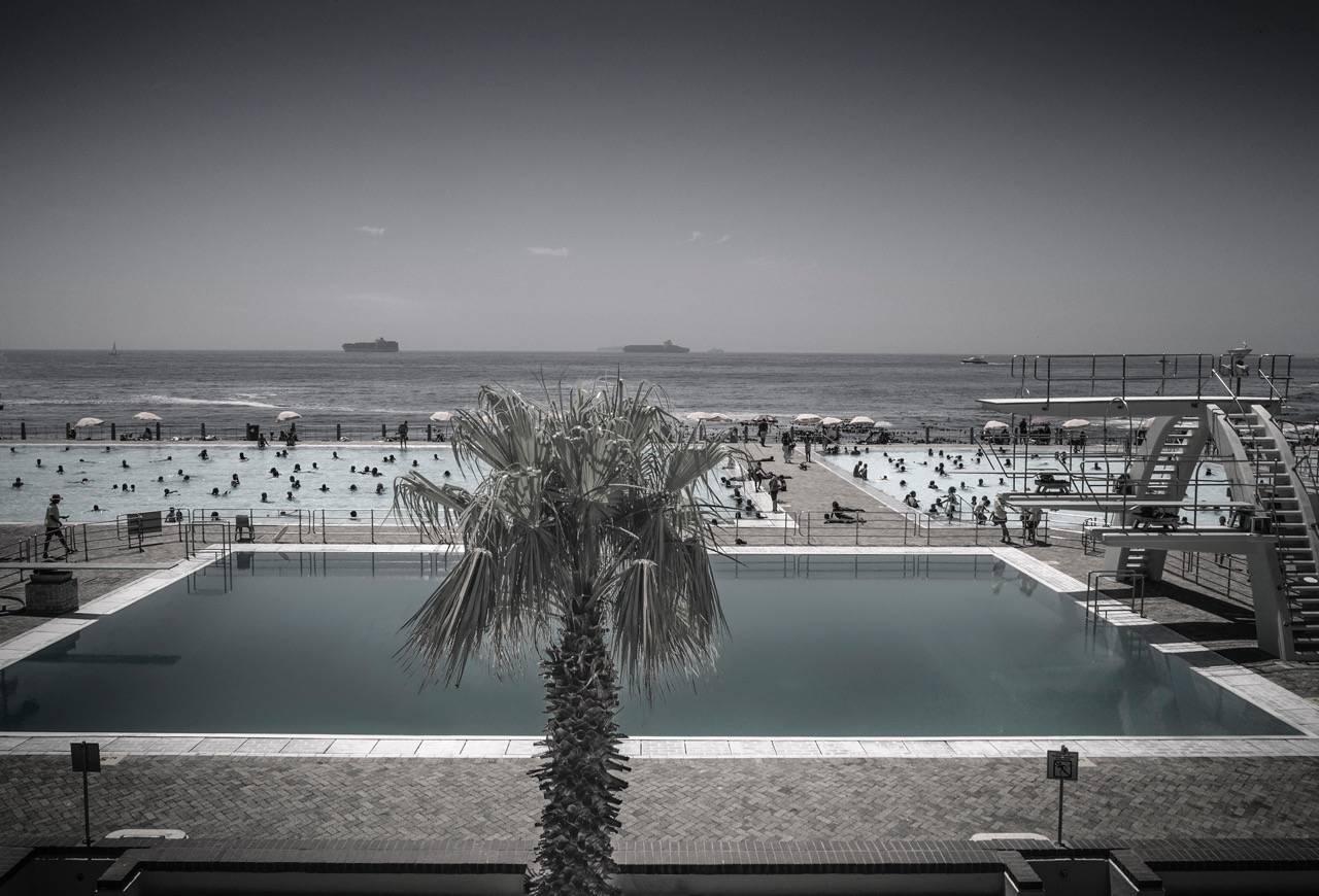 Michael Meyersfeld Landscape Photograph - Black and White Contemporary Photography: Sea Point Pool Palm Tree