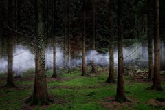 Entre les arbres 1 - Ellie Davies, art britannique, photographie contemporaine, arbres
