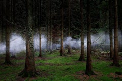 Entre los árboles 1, 2014 - Fotografía digital tipo C de edición limitada