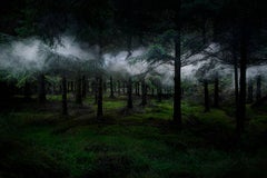 Between the Trees 3 - Ellie Davies, Wälder, Pflanzen, Natur, Fantasie, Träume