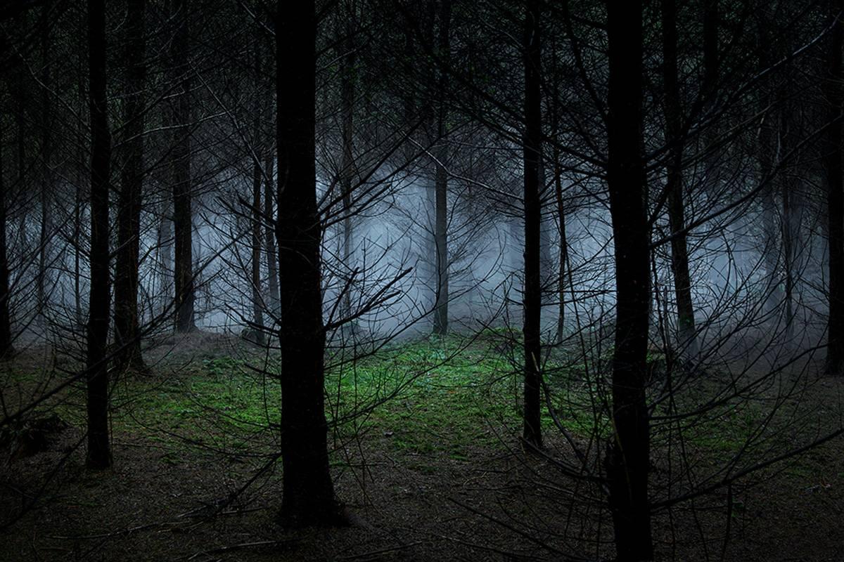 Landscape Photograph de Ellie Davies - Entre los árboles 8, 2014 - Fotografía digital tipo C de edición limitada