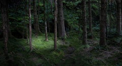The Gloaming 2, 2011 - Limited Edition Digital C-Type Photograph on Fuji Paper