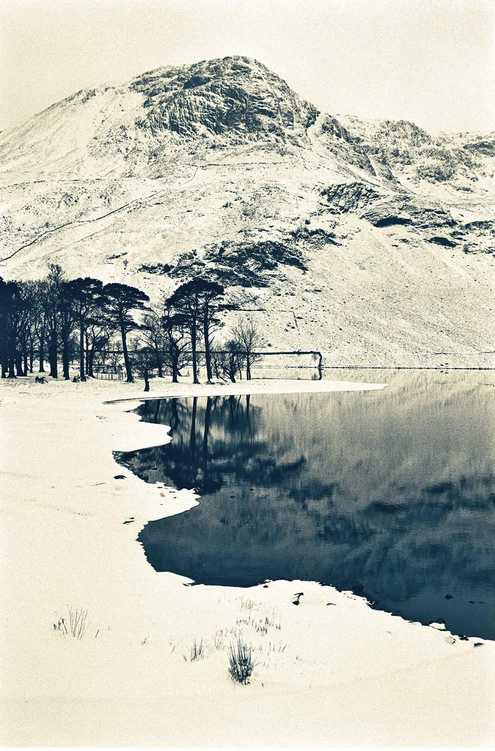 Jo Crowther Landscape Photograph - Buttermere Pines (Photograph, Print, Winter, Nature, Wildlife, Lake, Outdoors)