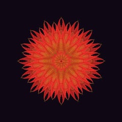 The Fallen 5 (Photographie, Impression, Feuilles d'automne, Noir, Orange, Rouge)