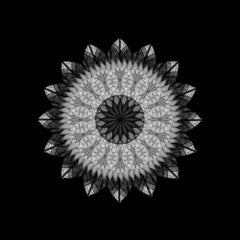 Meditación sobre un jardín de primavera 2 (Fotografía, Geométrica, Simetría, Gris)