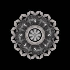 Meditation on a Spring Garden 4 (Photograph, Print, Geometric, Symmetry, Gray)