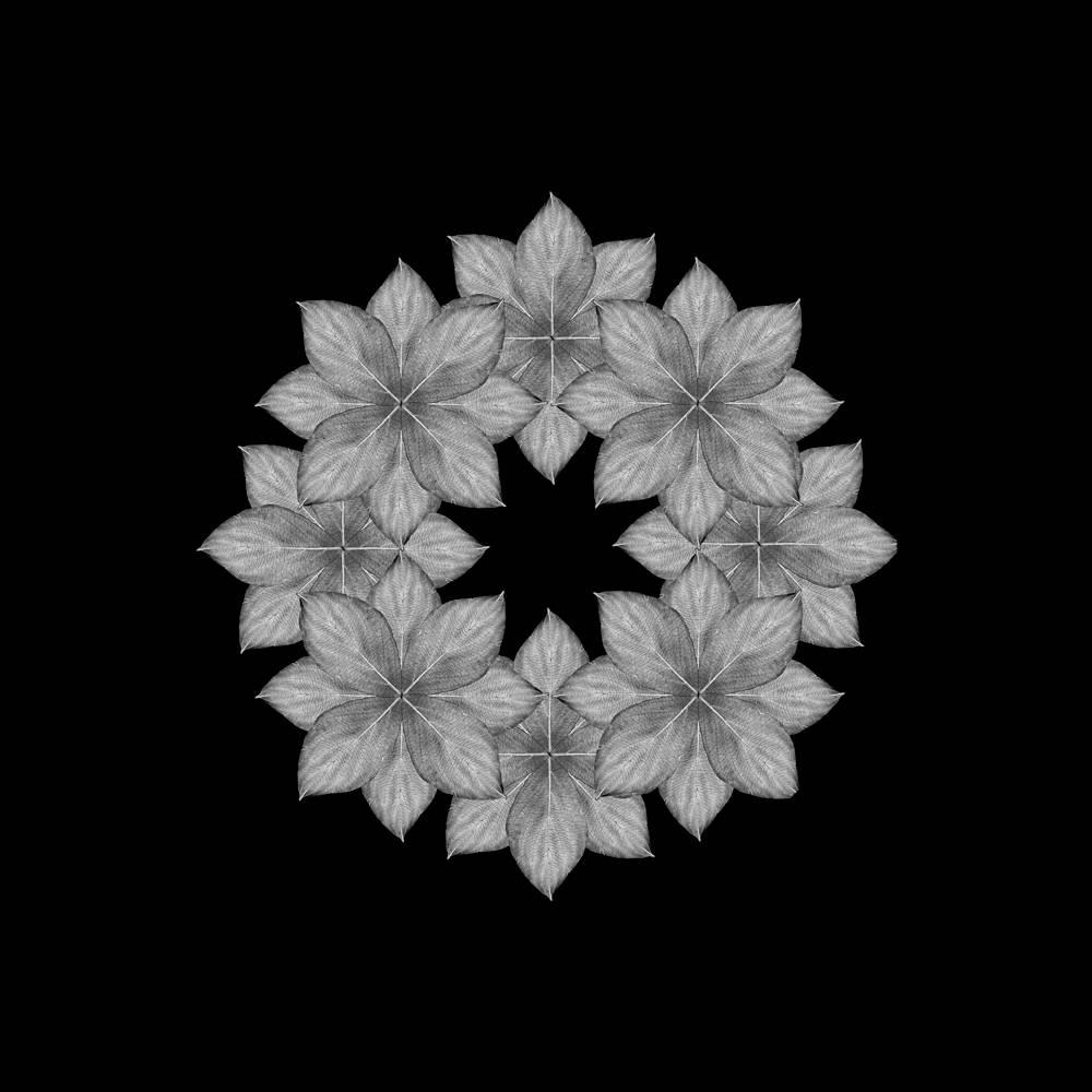 Judith Lyons Abstract Photograph - Meditation on a Spring Garden 7 (Photograph, Geometric, Symmetry, Gray)