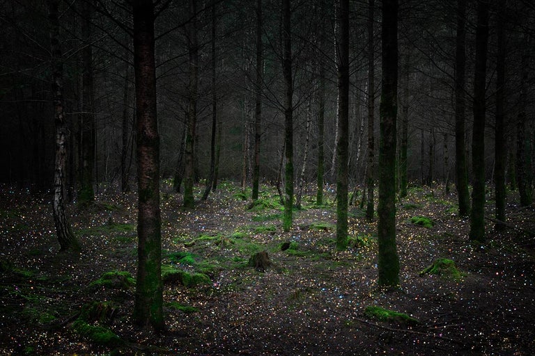 Ellie Davies Color Photograph - Stars 11