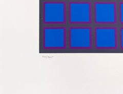 Kardoe, sérigraphie signée à la main, art optique, vers 1970, 47 x 30 pouces. Encadré
