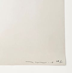 Reversed Double Helix, Rare Hand Signed Lithograph, 48 x 36 in. Framed, 2005