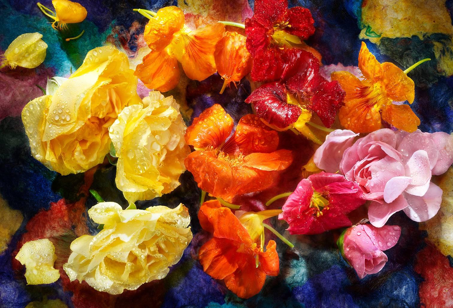 David Bishop Color Photograph - Nasturtium and Roses