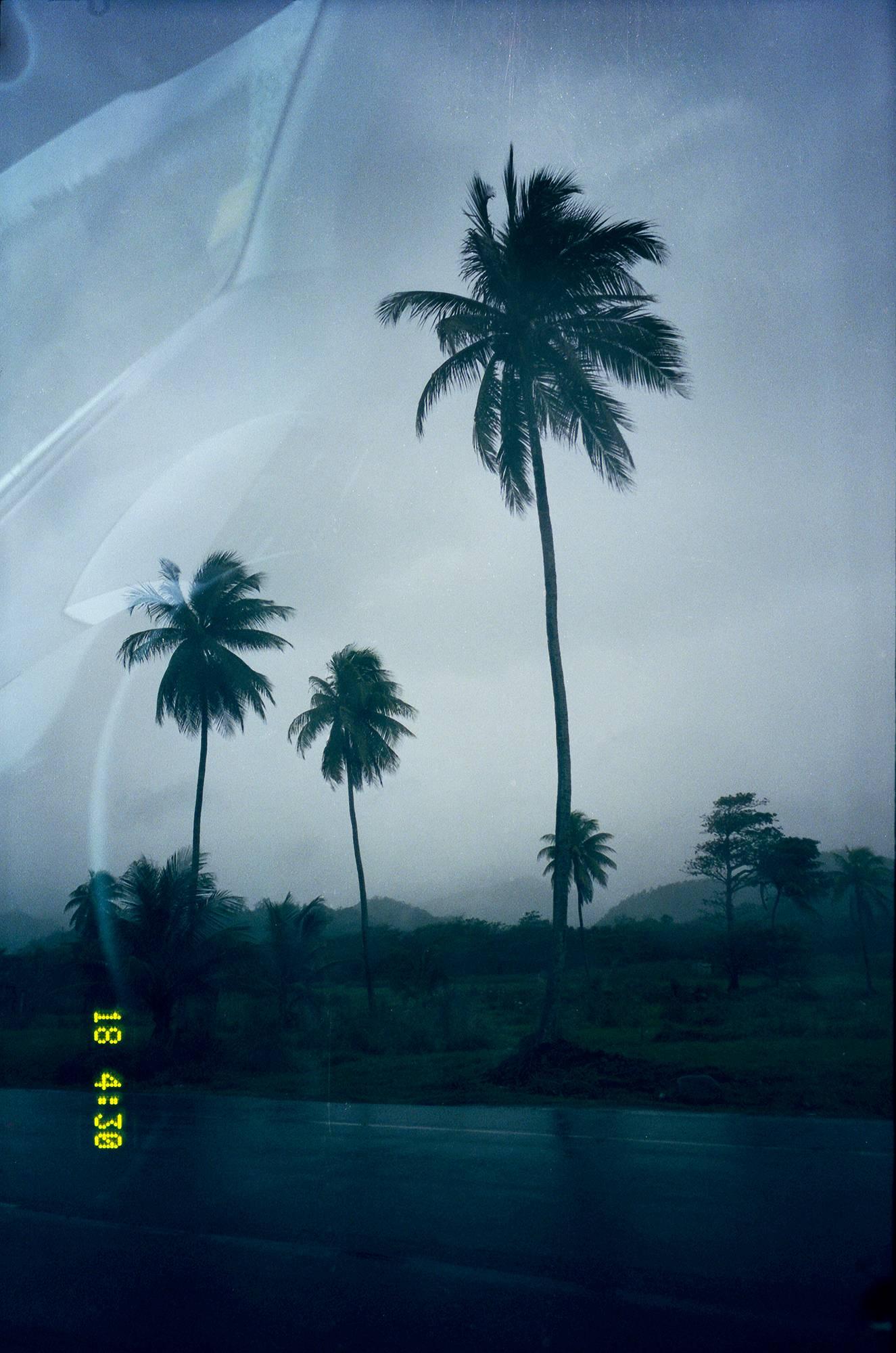 Contemporary photograph by Scottish photographer Ivar Wigan.

&quot;Palm Trees,&quot; 2017
From the Young Love series.
Lambda Print on Canson Infinity Platine Fibre Rag 310 Gsm Satin paper.
Edition of five (5).

Together with a signed certificate by