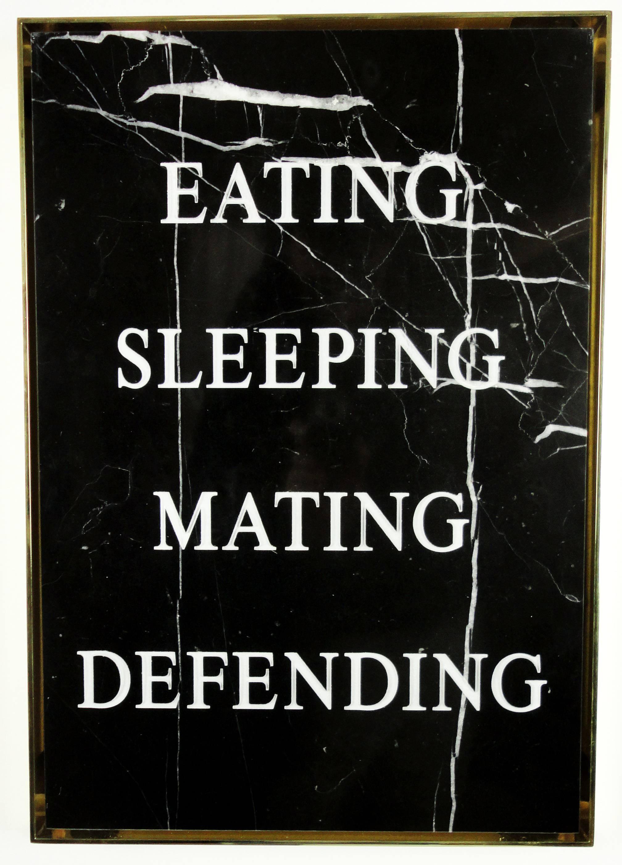 Contemporary wall mounted textual sculpture in Carrara marble and hand made aluminum frame.

&quot;Eating Sleeping Mating Defending,&quot; 2016
Carrara marble, acrylic paint, plated aluminum frame.
Edition of three (3).
18 1/8 x 12 5/8 x 1