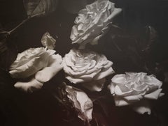 Vintage Roses 1