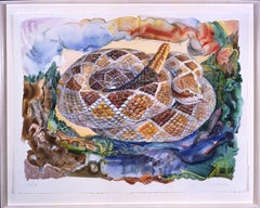 American Realist Animal Drawings and Watercolors