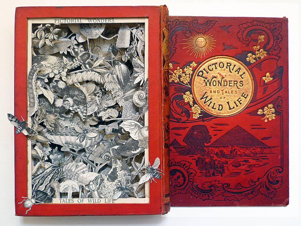 Pictorial Wonders and Tales of Wild Life - sculpted red book framed glazed  - Mixed Media Art by Adele Moreau