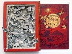 Pictorial Wonders and Tales of Wild Life - sculpted red book framed glazed 