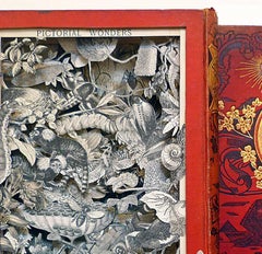Pictorial Wonders and Tales of Wild Life - sculpted red book framed glazed