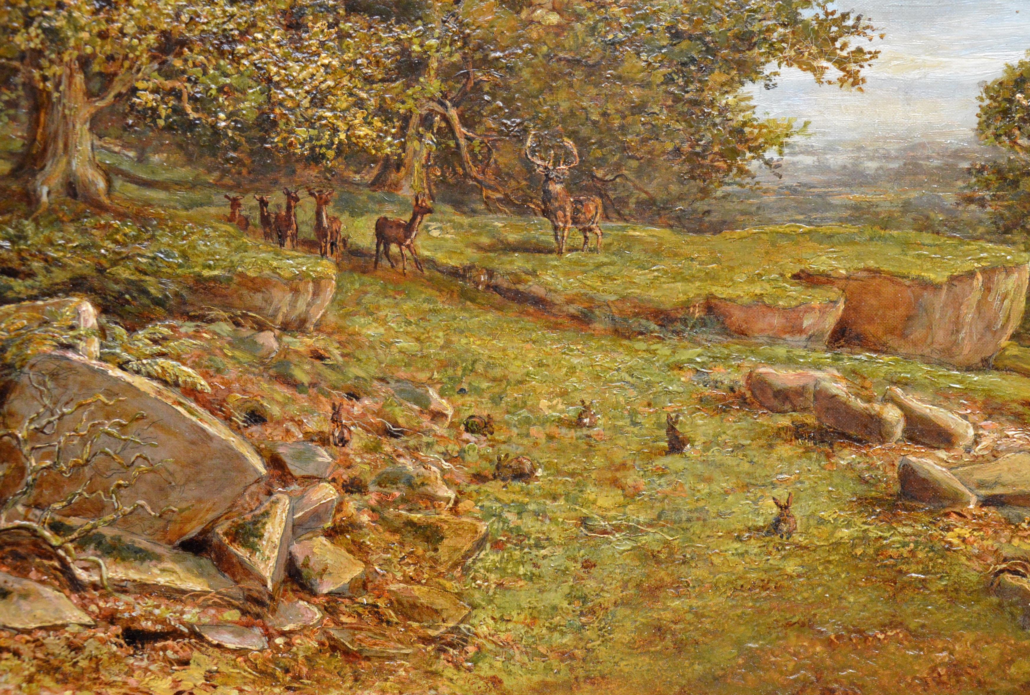 This is a fine large 19th century oil on canvas depicting family of deer and rabbits in an extensive English woodland landscape of ‘Bradgate Park, Leicestershire’ by the eminent Victorian painter Edward Davies (1843-1912). This was the very first