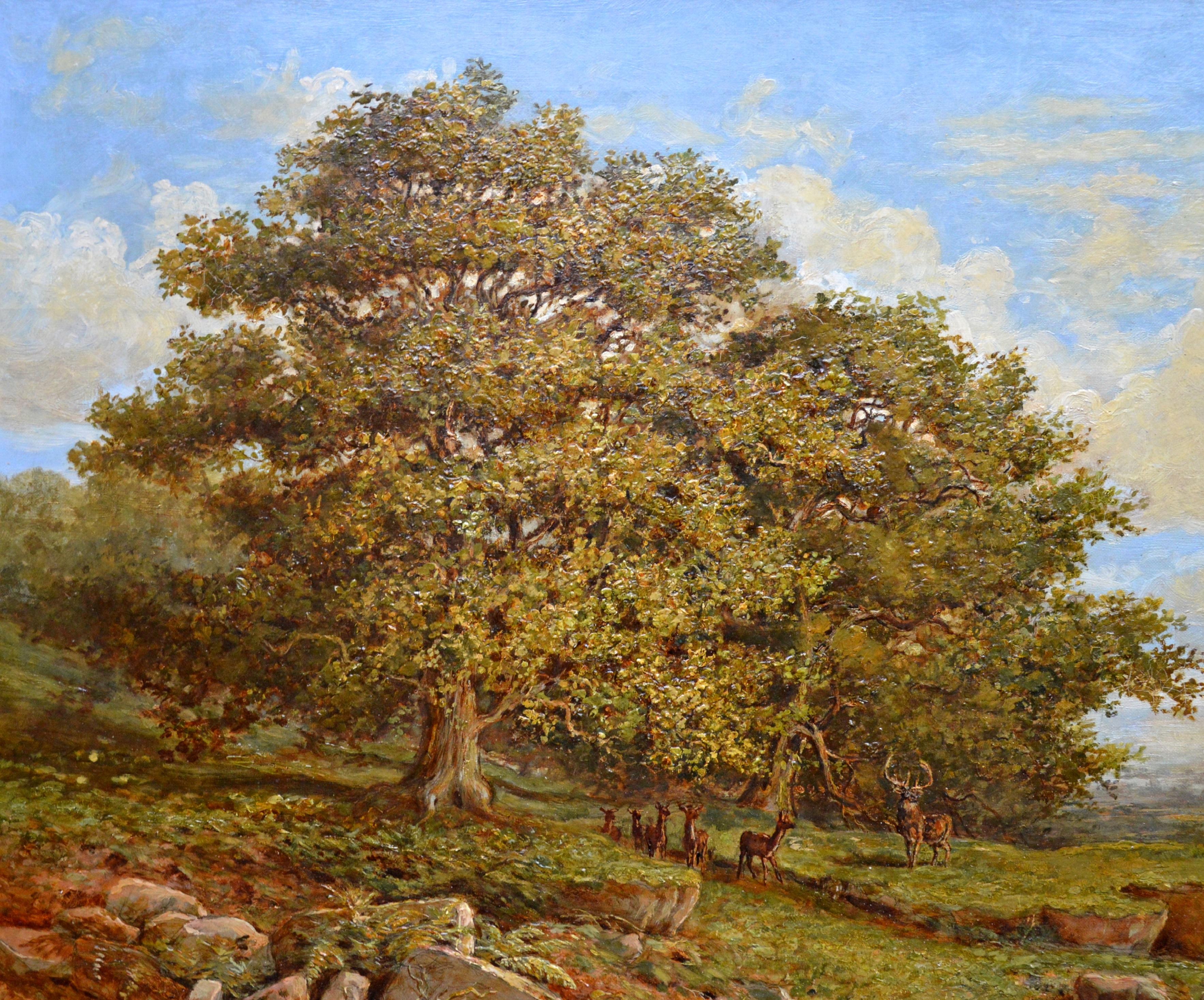Bradgate Park, Leicestershire - 19th Century Oil Painting - Royal Academy 1880 1