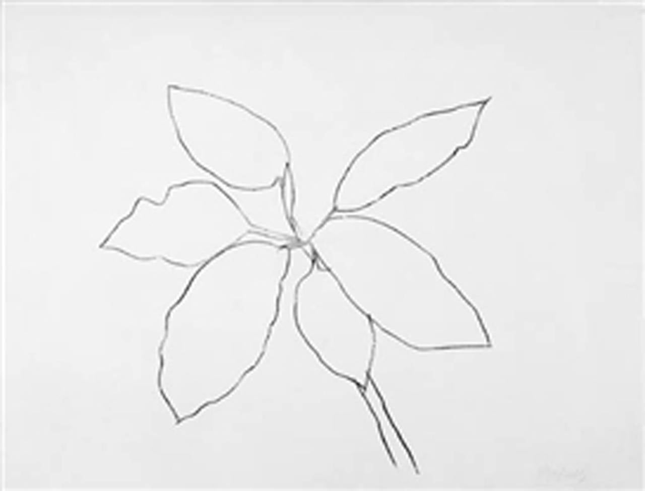 St. Martin Tropical Plant - Print by Ellsworth Kelly