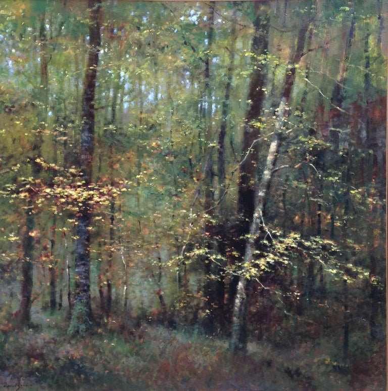 Grand sous-bois 1