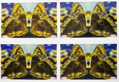 Amor a primera vista (mordisco), técnica mixta: fotografía cosida con hilo, edición de 1