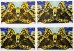 Amor a primera vista (mordisco), técnica mixta: fotografía cosida con hilo, edición de 1