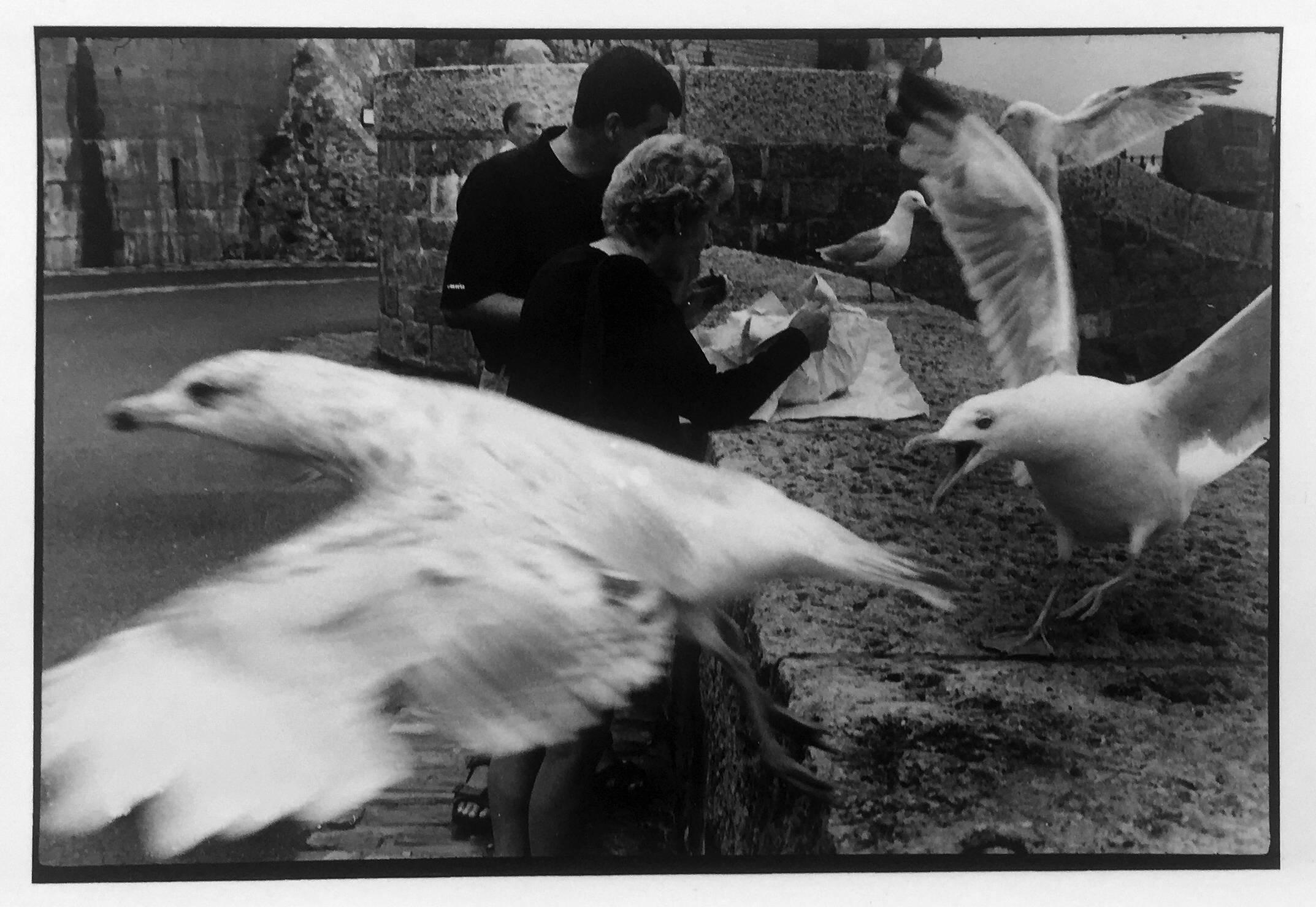 England, UK,  Schwarz-Weiß-Fotografie, Picnic mit Vögeln von Leonard Freed