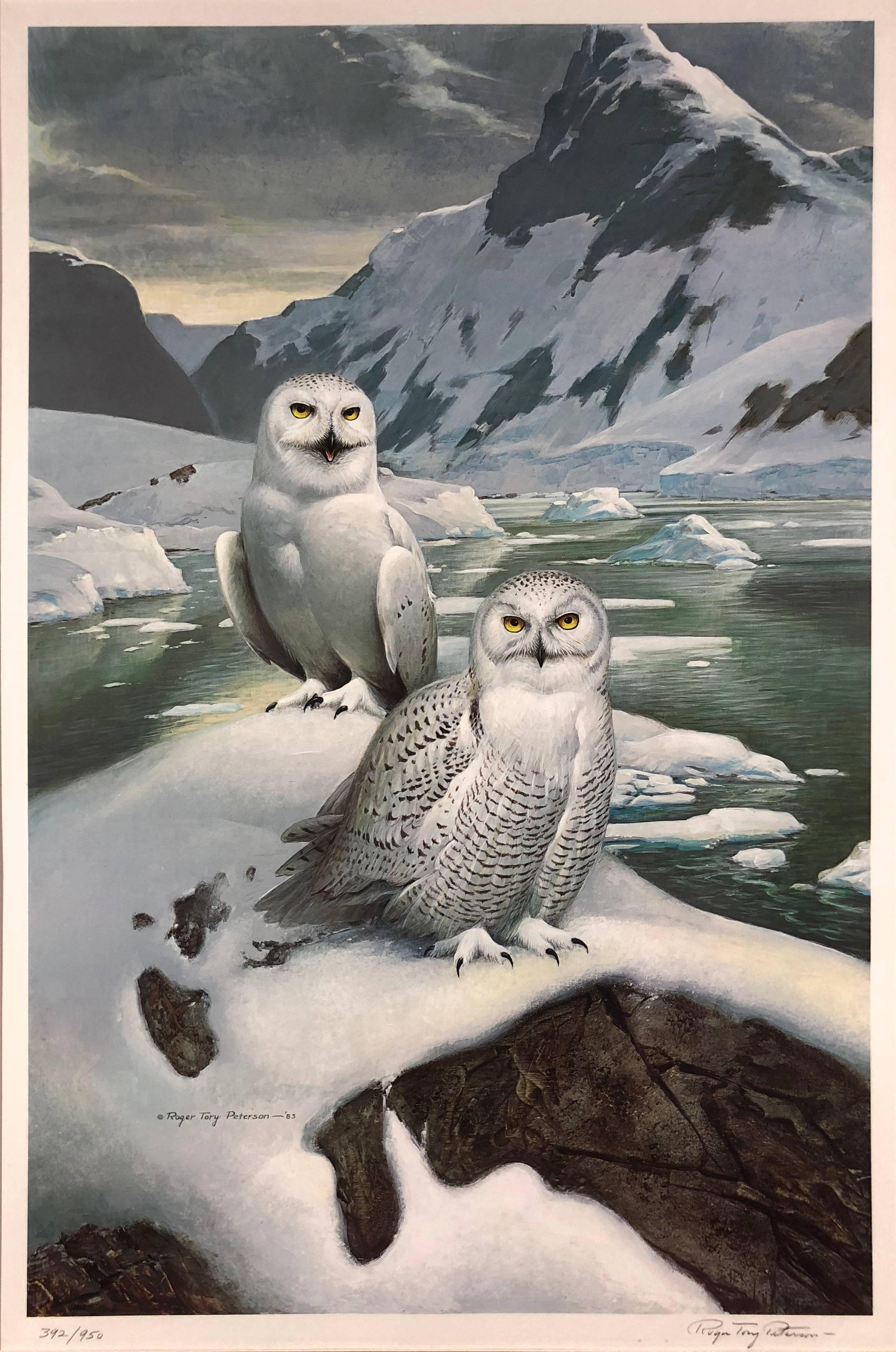 Roger Tory Peterson Animal Print - Two Snowy Owls