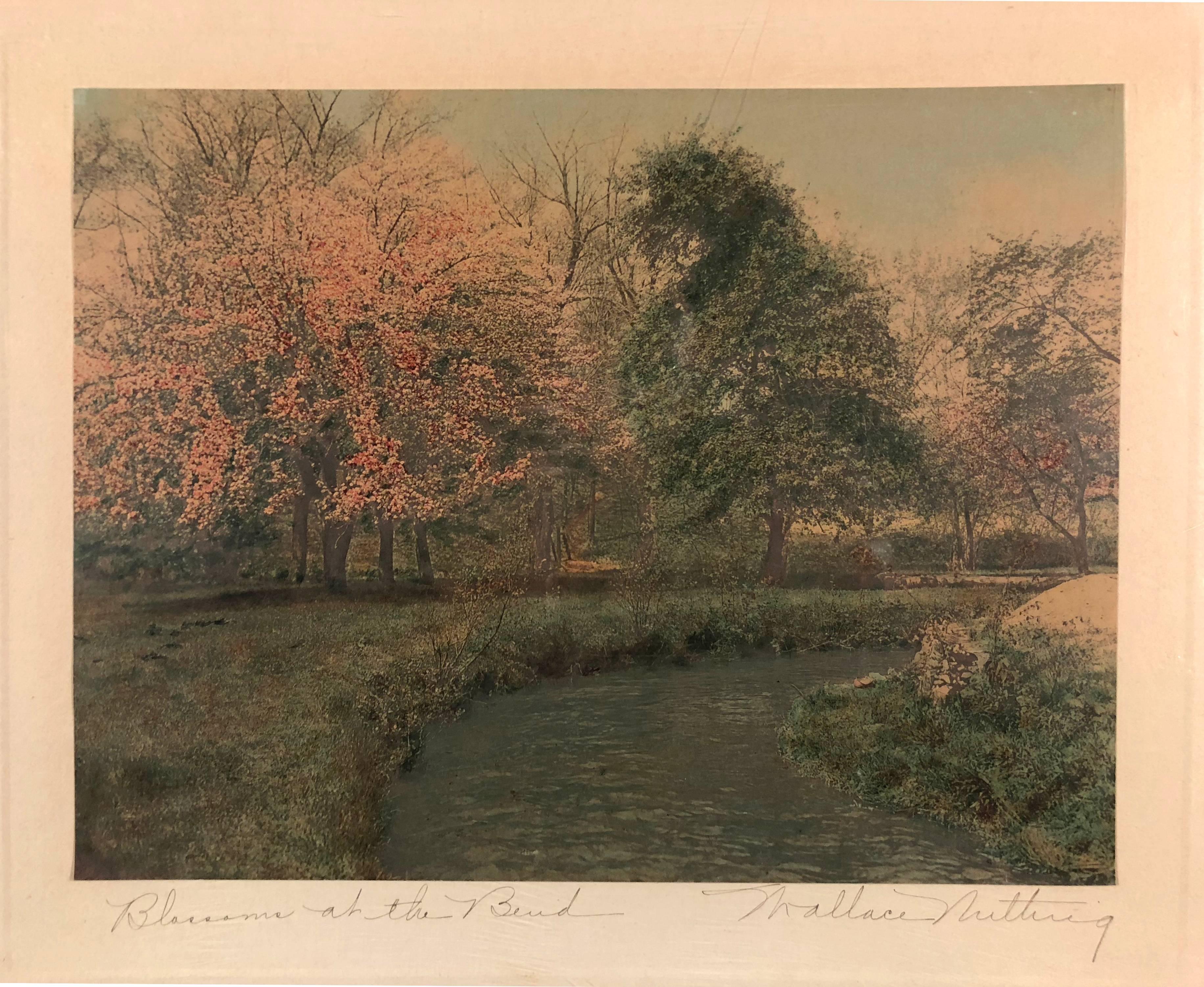 Wallace Nutting Landscape Print - Blossoms at the Bend