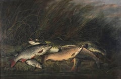 Catch of the Day