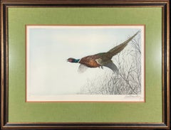 Antique Pheasant in Flight