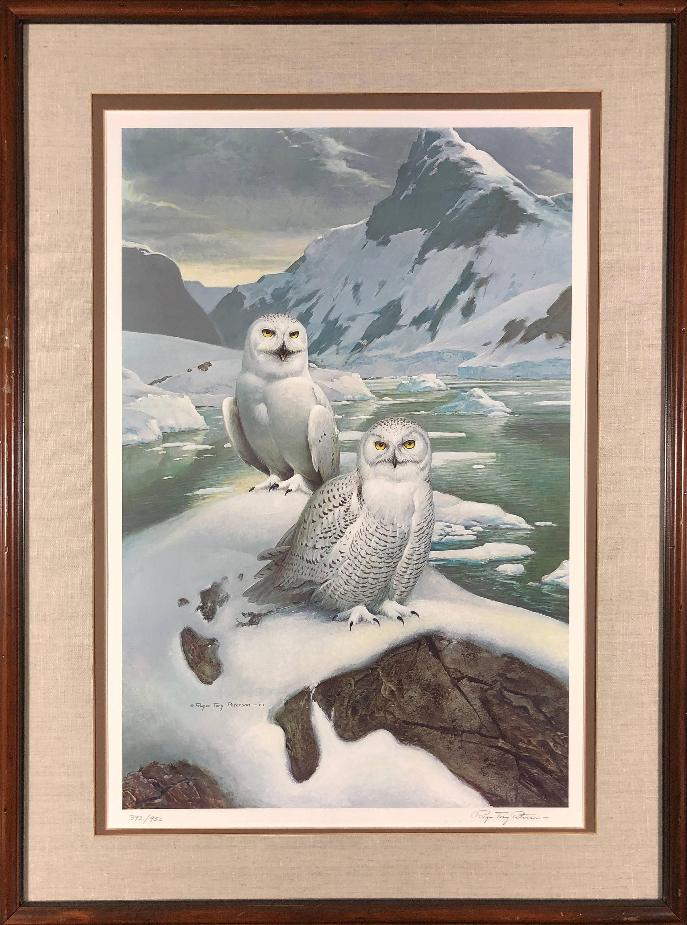 Two Snowy Owls - Print by Roger Tory Peterson