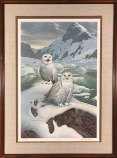 Two Snowy Owls