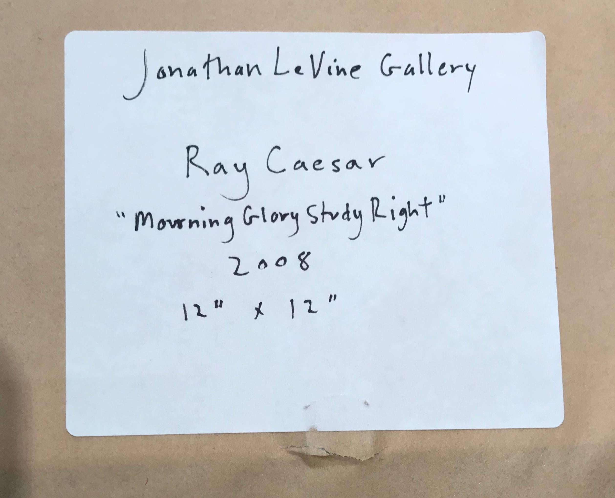 ray caesar for sale