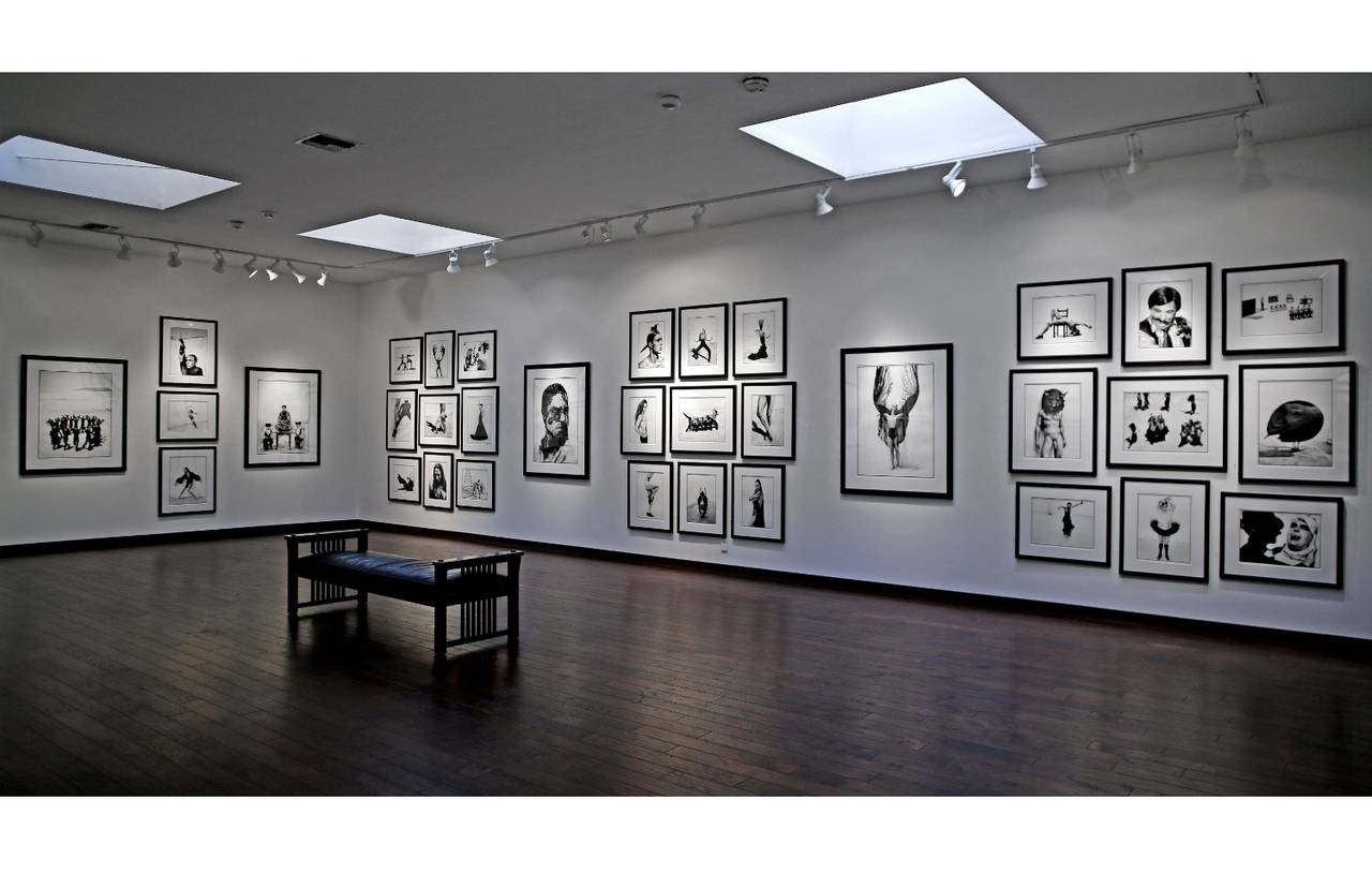 Antonio Najarro "Cortijo Alcala", Osuna, España