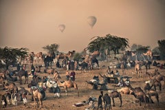 Camel Traders