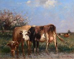 Spring Pasture