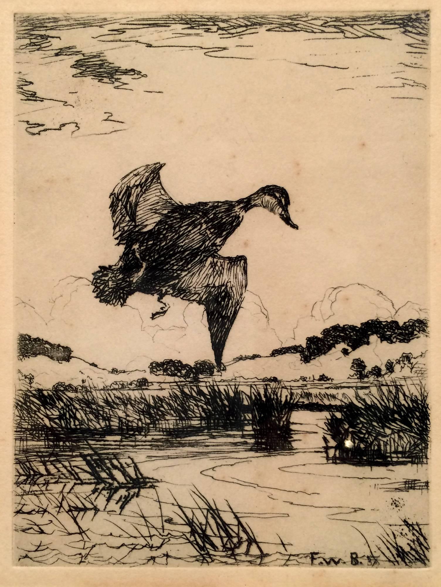 Frank Benson Landscape Print - Duck in Flight