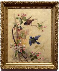 Song Birds and Apple