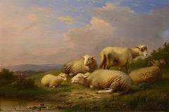 Sheep at Pasture
