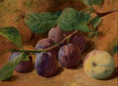 Still Life of Plums and Peach