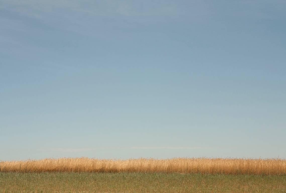 Michael Williams Landscape Photograph – Hampton-Fächer