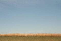Fields des Hamptons