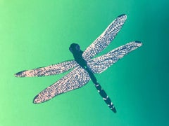 The Captive and the Treasure