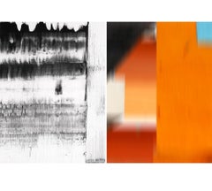 Untitled Diptych 2014 #6