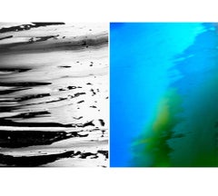 Untitled Diptych 2007 #2