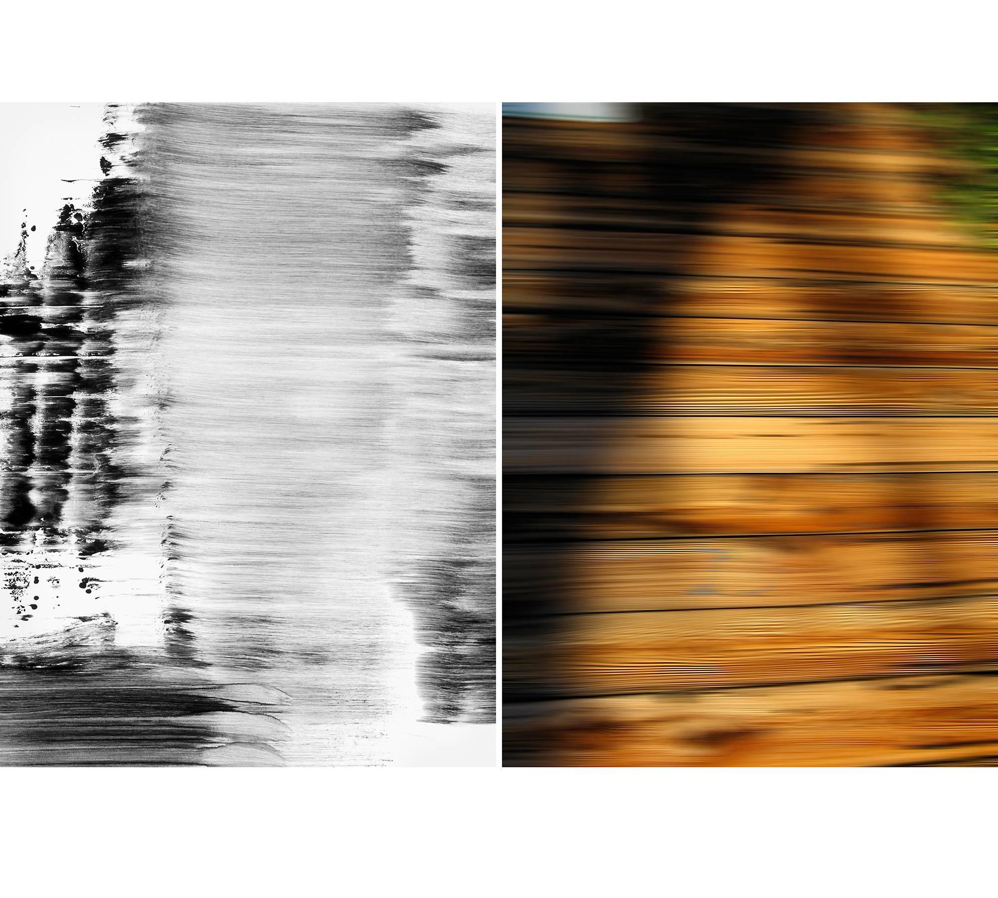 Mazal-Mankus Abstract Photograph - Untitled Diptych 2007 #8